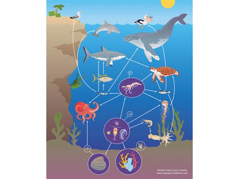   アキネタ - 顕微鏡でしか見ることができない謎めいた生物は、水中の食物網を支えている！